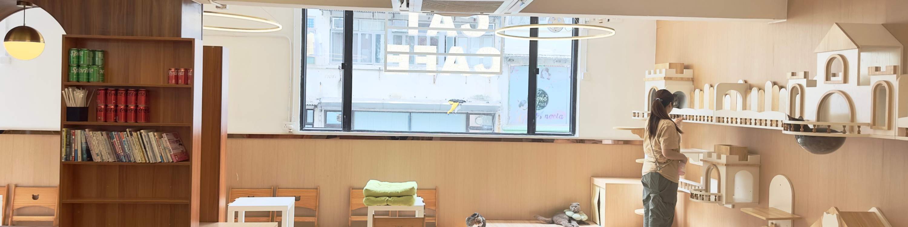 Tea with Cats in Cats Tea Room Hong Kong Cat Cafe Tsuen Wan Tsim